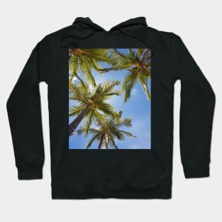 Hawaii palm tree photo Hoodie